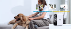 Wireless WiFi Surveillance Camera with Battery Night Vision,Colour and AI & PIR Motion Detection,Outdoor/Indoor